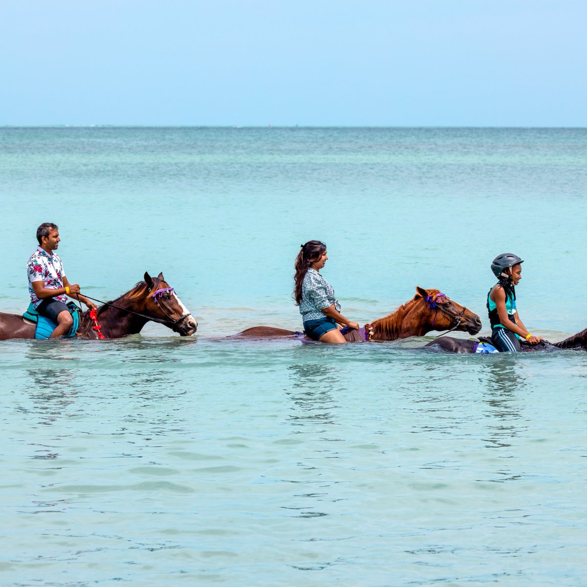visit_tobago's tweet image. Check out this feature from @TheWeek 📰

"I clung on, knowing my horse may wade in even further to swim, and that I would be expected to simply go with the flow. That was just another day in Tobago..." 🏝️
 
Read more here: bit.ly/48STK4f

#TobagoBeyond #101ReasonsTobago