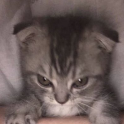 rolexfps's tweet photo. #NewProfilePic https://t.co/Ror8YEhHhh