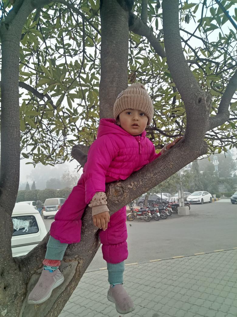 mian basharat ali (@mbali69886651) on Twitter photo 