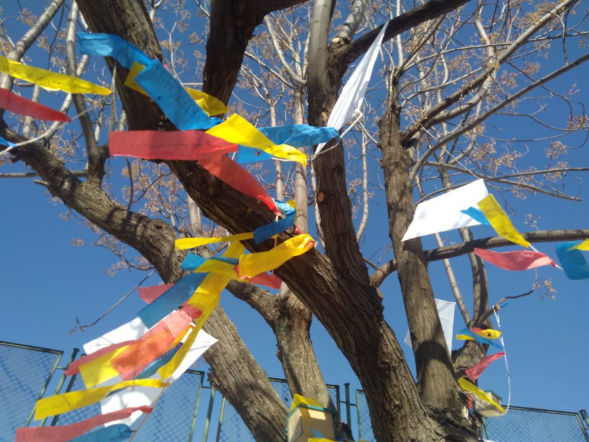 En el #IesLaPaz hemos celebrado nuestro  "Día de la Paz" con  cometas de los sueños, lectura del Manifiesto por la Paz, Juegos Cooperativos, siembra de olivos y girasoles.