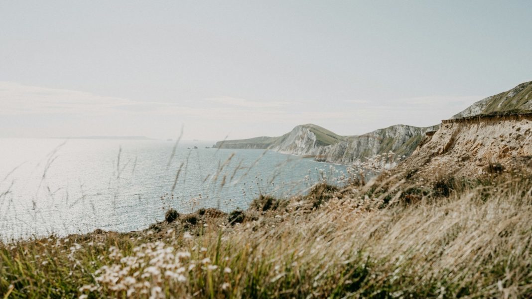 Bridge #Health &amp; Wellbeing Selects Chill Dorset As Its #Charity Of The Year For 2024 <a href="/bridgehw/">Paul O’Connell</a> #Bournemouth is.gd/jx1F1C