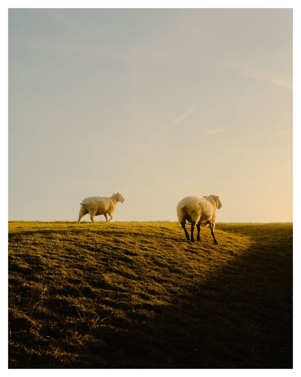 Peter Flude tweet media