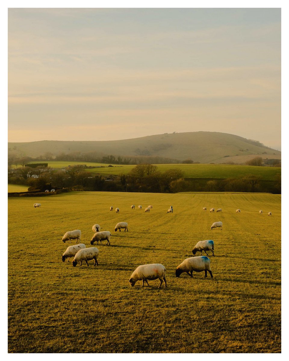 Peter Flude tweet media