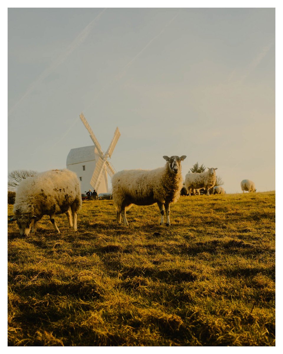 Peter Flude tweet media