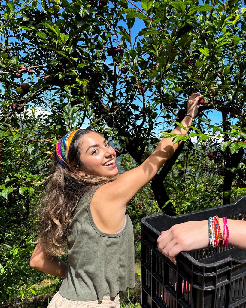 HaslamUT's tweet photo. During the Winter Mini Term, this group of first-year Haslam students visited Costa Rica to learn from businesses focused on tourism, agriculture, technology, and sustainability. #HaslamAbroad #HaslamReady #HaslamEngaged #HaslamPrepared https://t.co/5qW6Vfe9dd