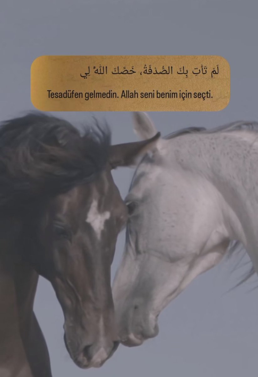 siir_arabi's tweet photo. لم تاتي بك الصدفة خصك الله لي
🥀
Tesadüfen gelmedin. Allah seni benim için seçti.
# https://t.co/Z9TwwCzhyC
