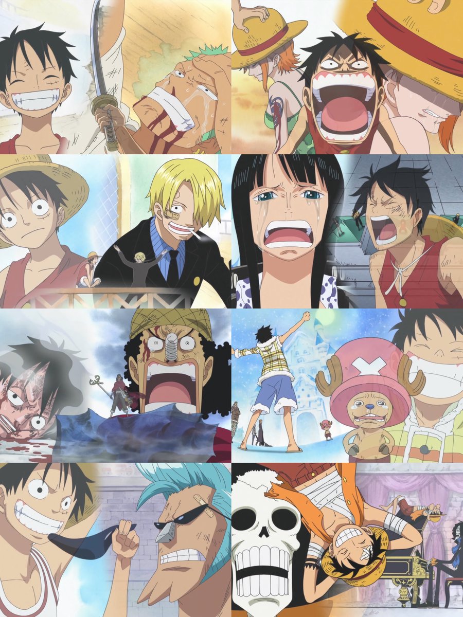 One Piece Daily tweet media