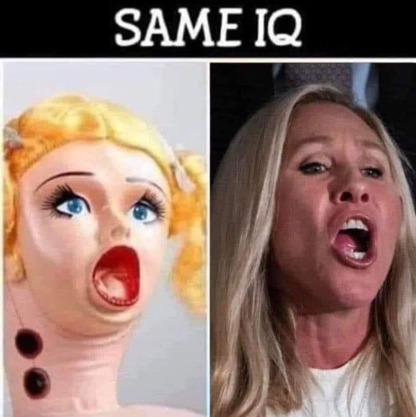 The Grifted #1 🟧💙🇺🇸🌻💯 🫱🏼‍🫲🏾👀👊🏾!!! tweet media