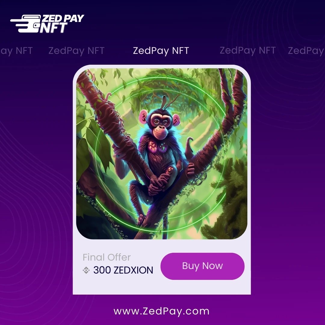 zedpaynft's tweet photo. NFT Collections
#NFT https://t.co/BGaGPhcTW6