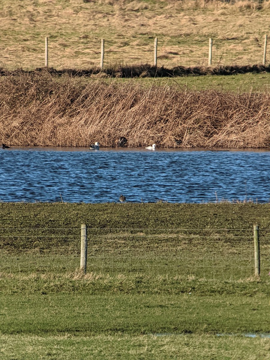 Alice Cousens tweet media