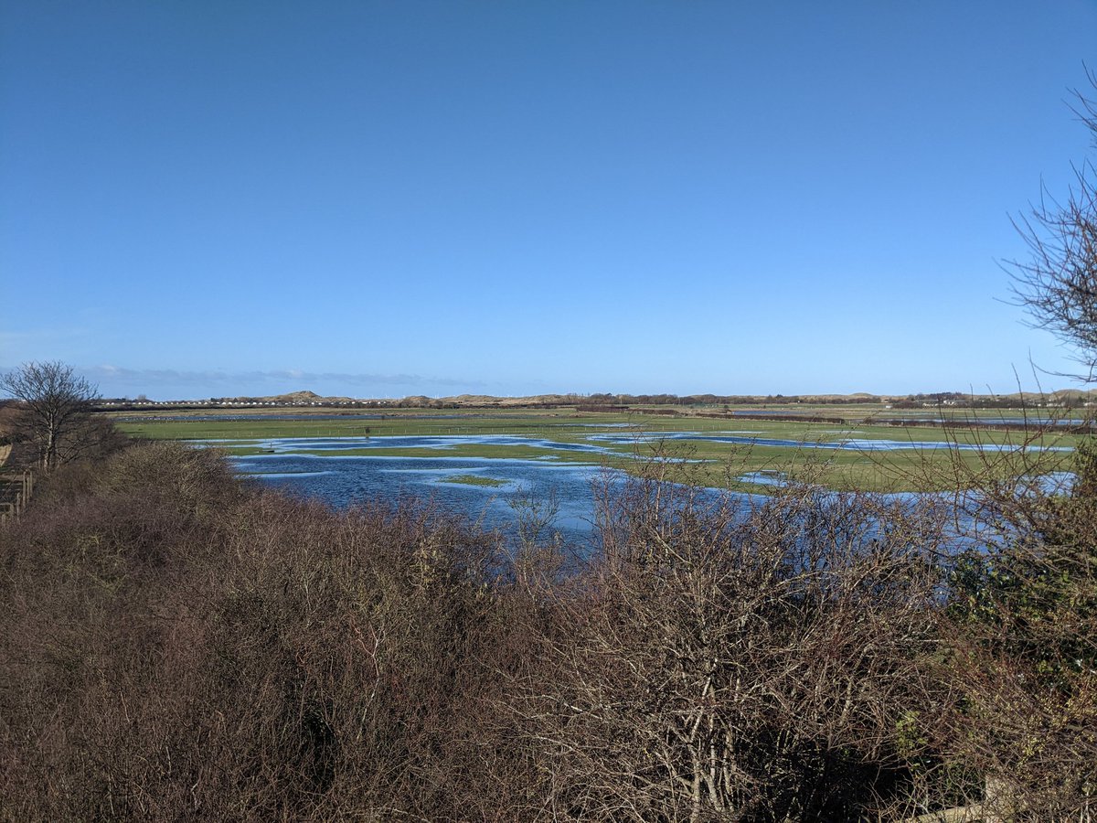 Alice Cousens tweet media