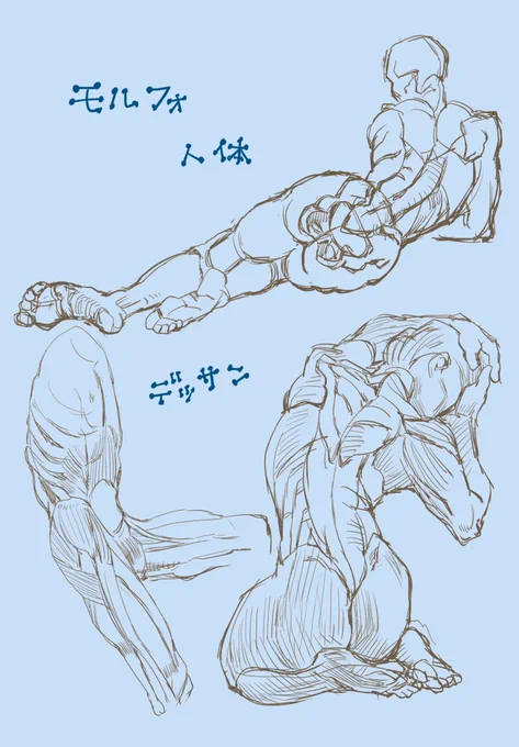 いかん!今日は母の付き添いだった💦少なめモルフォになりましたがお風呂入って寝ます。 自分の病院やらなんやら漫画どころか絵描くのもって感じになってミニドラSOSというところですが、焦らず一歩ずつ進めたらと思います。目はなぜ前向きについているかというと、前へ前へと進むためだからです。