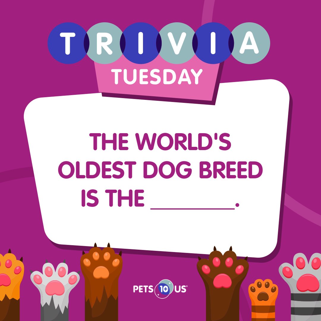#Win a $25 PetSmart gift card! To enter, answer the question, retweet this post and follow <a href="/PetsPlusUsIns/">Pets Plus Us</a> by 11:59PM EST. Open to Canadian &amp; US residents (excluding QC). Ways to enter: petsplusus.com/terms-conditio…