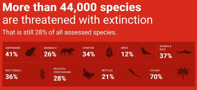 🦏The @IUCNRedList has now assessed 157,190 species, revealing that more than 44,000 are currently threatened with extinction.🐞 This list serves as a comprehensive record of the #conservation status for a wide array of plant & animal species. iucnredlist.org/en