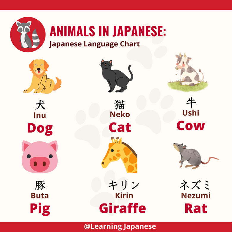 @Learning Japanese 🇯🇵 tweet media