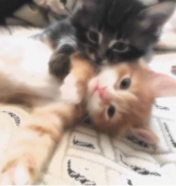 me and who