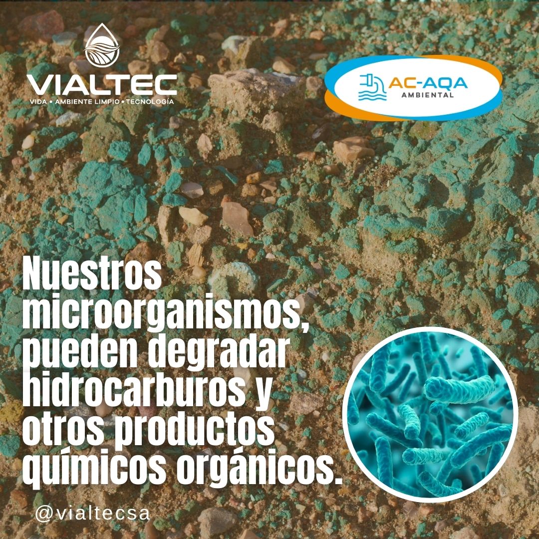 VialtecSA's tweet photo. Presentamos  AC-AQA, nuestra innovadora solución de biorremediación para suelos contaminados por hidrocarburos. En un mundo donde el cuidado del medio ambiente es una prioridad, AC-AQA representa un paso revolucionario hacia la recuperación de nuestros ecosistemas vitales. https://t.co/f0CtIfz1rP