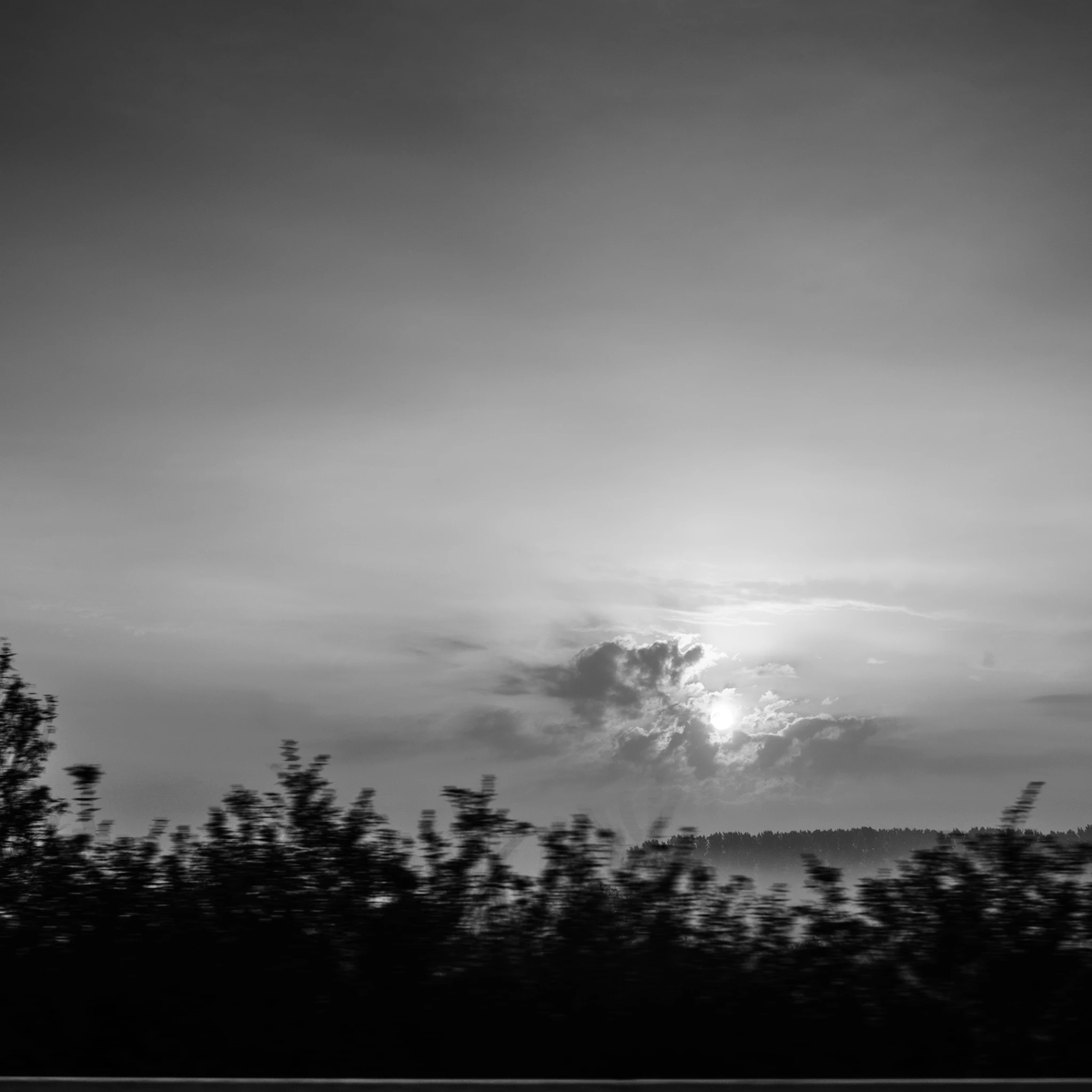bloodybulldoge's tweet photo. 🌞 gm Solana ❤️‍🔥🐰 soon™ 👇

5 days till @blockiosaurus' #MIP7-update+AMA
34 days till @ColosseumOrg GlobalHackathon
157 days till @hackerhouses London
233 days till @SolanaConf Singapore

📸 "Clearance" – by yours truly https://t.co/2bFGpuqjfj