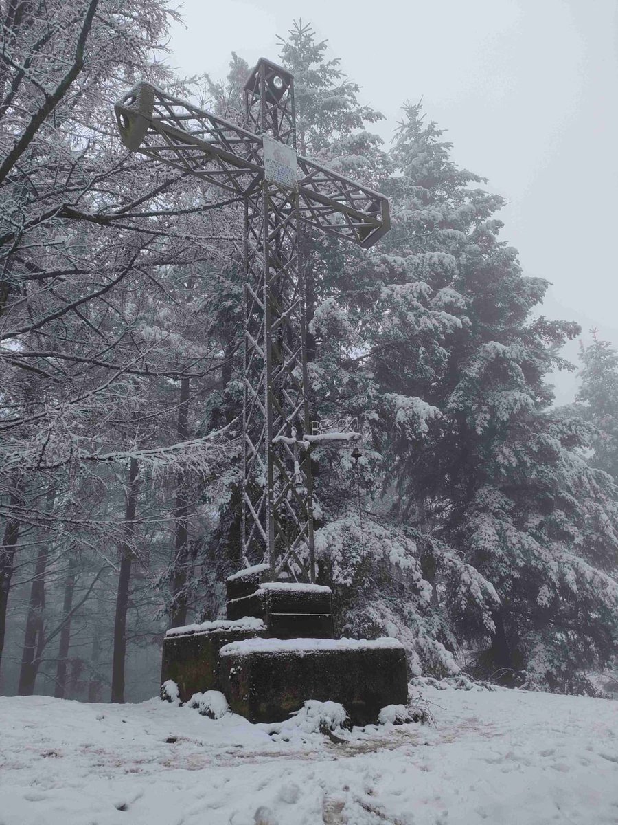 Duela urtebete ❄️
#beloki