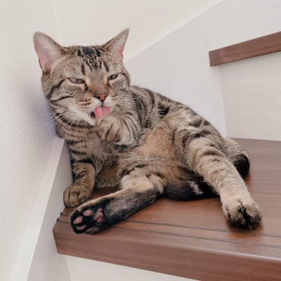 #新しいプロフィール画像