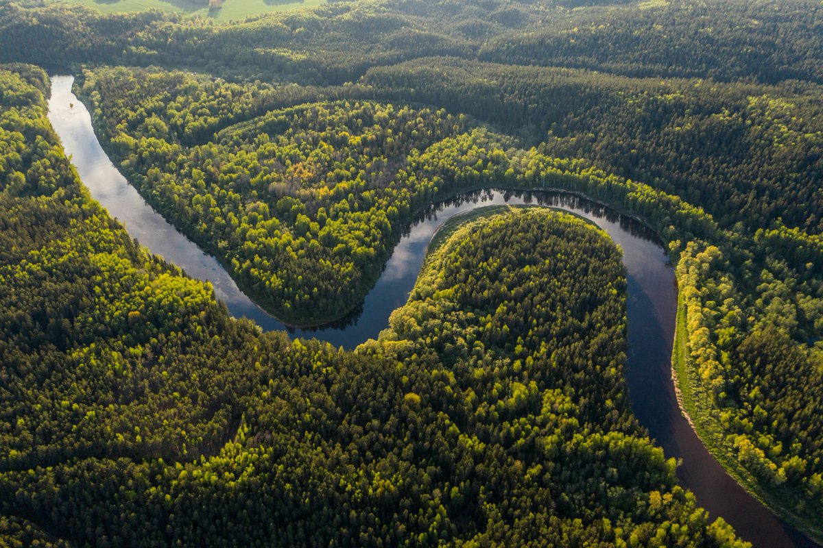 The 3 pillars of climate smart forestry (#CSF) :

1) Cut #greenhousegasemissions for #climatechange mitigation
2) Adapt #forest management for enhanced forest resilience
3) Implement active forest #management to boost productivity and #income 

#BetterWithForests