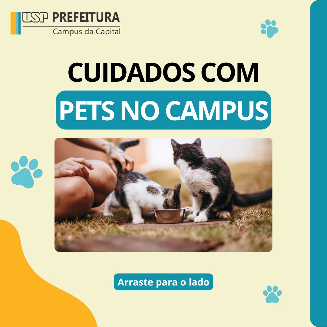 puspcapital's tweet photo. Lei Federal 9.605/98
Fique atento e denuncie abandono de animais tanto no Campus quanto em qualquer outro lugar do Brasil! Link para denúncia: https://t.co/N0ce8MOQjw
#puspc #usp #campusbutanta #petsnocampus #abadonodeanimais #campanha https://t.co/lxgcnBJN1Q