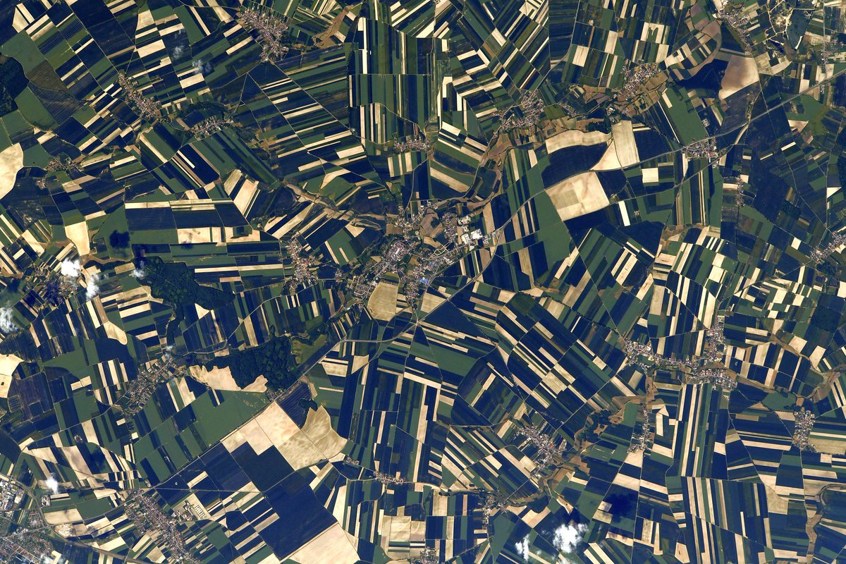 Thom_astro's tweet image. Difficile de poster autre chose en ce moment que… des paysages agricoles ! On voit bien depuis l’espace comment l’humain utilise le territoire principalement pour produire sa nourriture 🍽️, une nécessité première, et que beaucoup de choses découlent de là. Moi qui vis en ville…