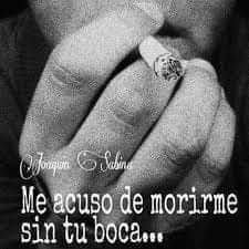 Mundodesabina's tweet photo. https://t.co/BGOH4zygR3