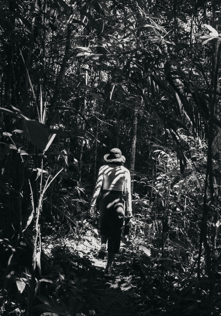 untamed_amazon's tweet photo. Untamed Amazon expeditions explore the forest in depth so you can experience a little of the magnitude of nature during our tours.

As expedições da Untamed Amazon exploram a floresta a fundo para você experenciar um pouco da magnitude da natureza durante os nossos passeios. https://t.co/KxXcELm8Ud