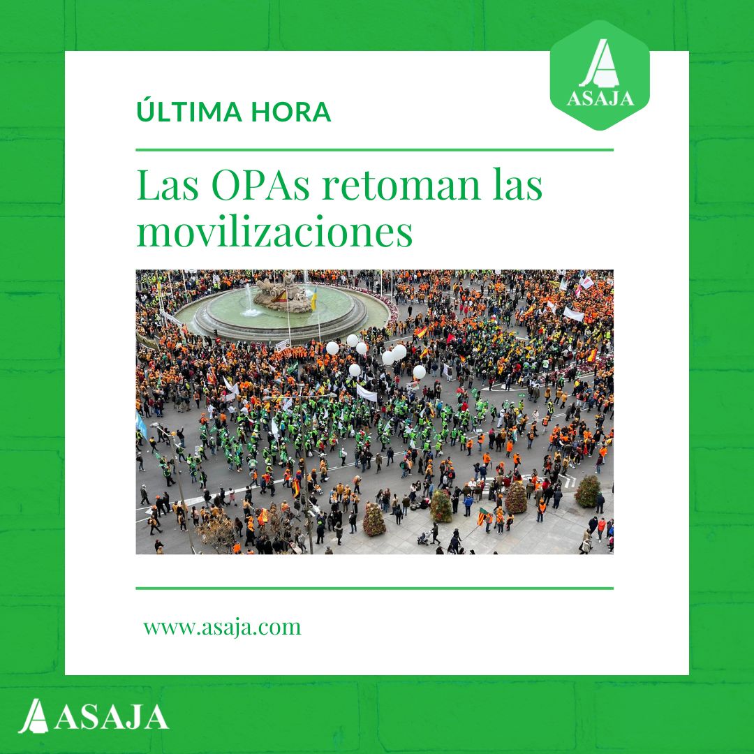AsajaNacional's tweet image. 🔴#ÚLTIMAHORA

Las #OPAs #ASAJA, #COAG y #UPA retoman las movilizaciones. Se desarrollarán inicialmente en las #CCAAs

Todos los detalles:
👉 ow.ly/HbqK50QvRfx