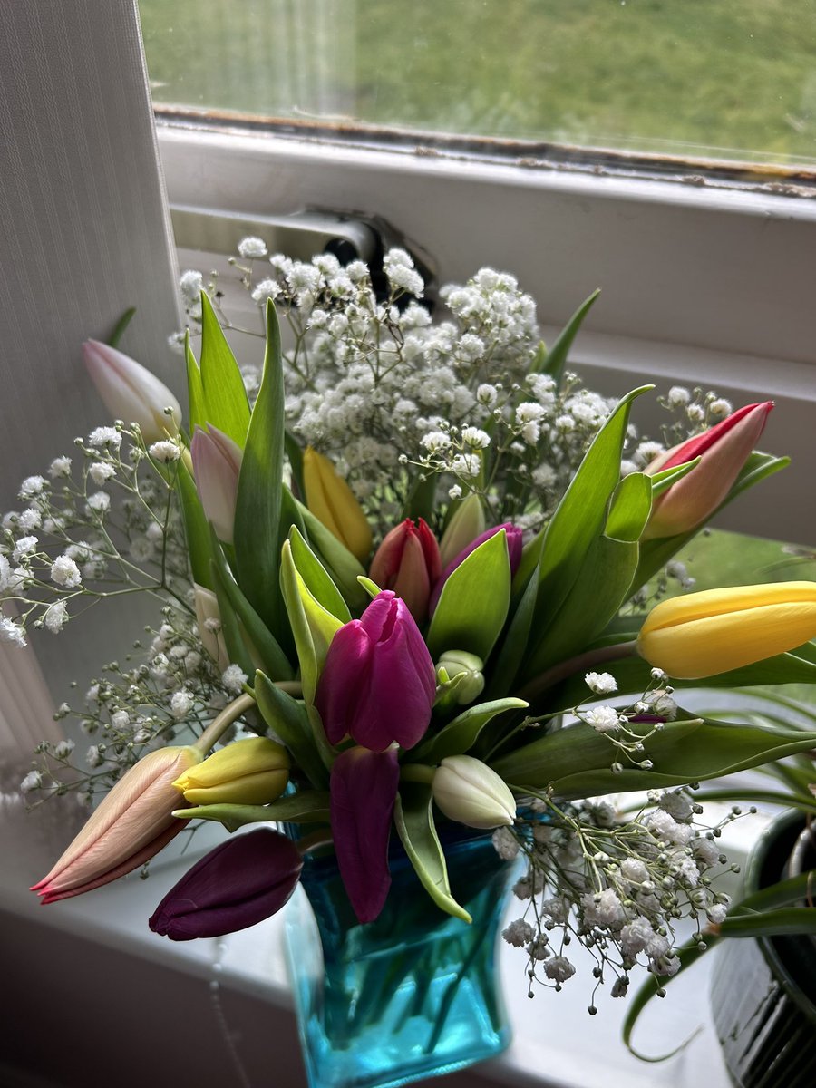 Mahnoor M (@mahnooorm) on Twitter photo A bonus perk to publishing your first paper that I hadnβt been aware of is being woken up to surprise flowers by your biggest supportersπ₯° <a href="/dedonatis_m/">Marco De Donatis</a> <a href="/AmyShergold/">Dr Amy Shergold (she/her)</a> A bonus perk to publishing your first paper that I hadnβt been aware of is being woken up to surprise flowers by your biggest supportersπ₯° <a href="/dedonatis_m/">Marco De Donatis</a> <a href="/AmyShergold/">Dr Amy Shergold (she/her)</a>