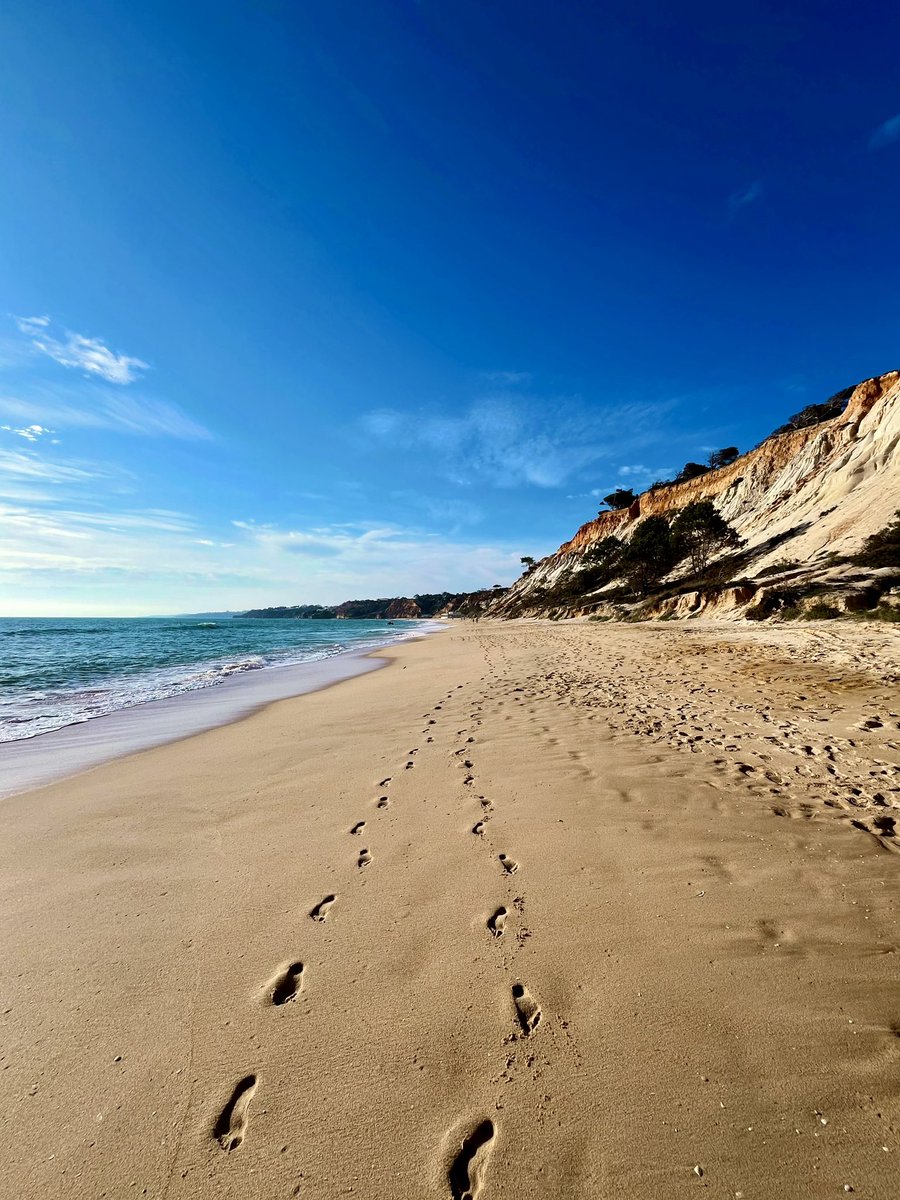 SarahHighfield's tweet photo. The beach at @PineCliffs is stunning.
📍 Praia da Falésia, Portugal
#pinecliffs #pinecliffsresort #pinecliffslifestyle #praiadafalesia https://t.co/MAWtl3xe6q