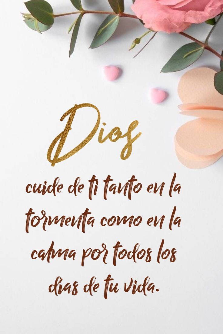 Feiz y bendecido inicio de semana 🥰🙌🏻🍀🎉 Abrazitos con Amor 😘😘😘