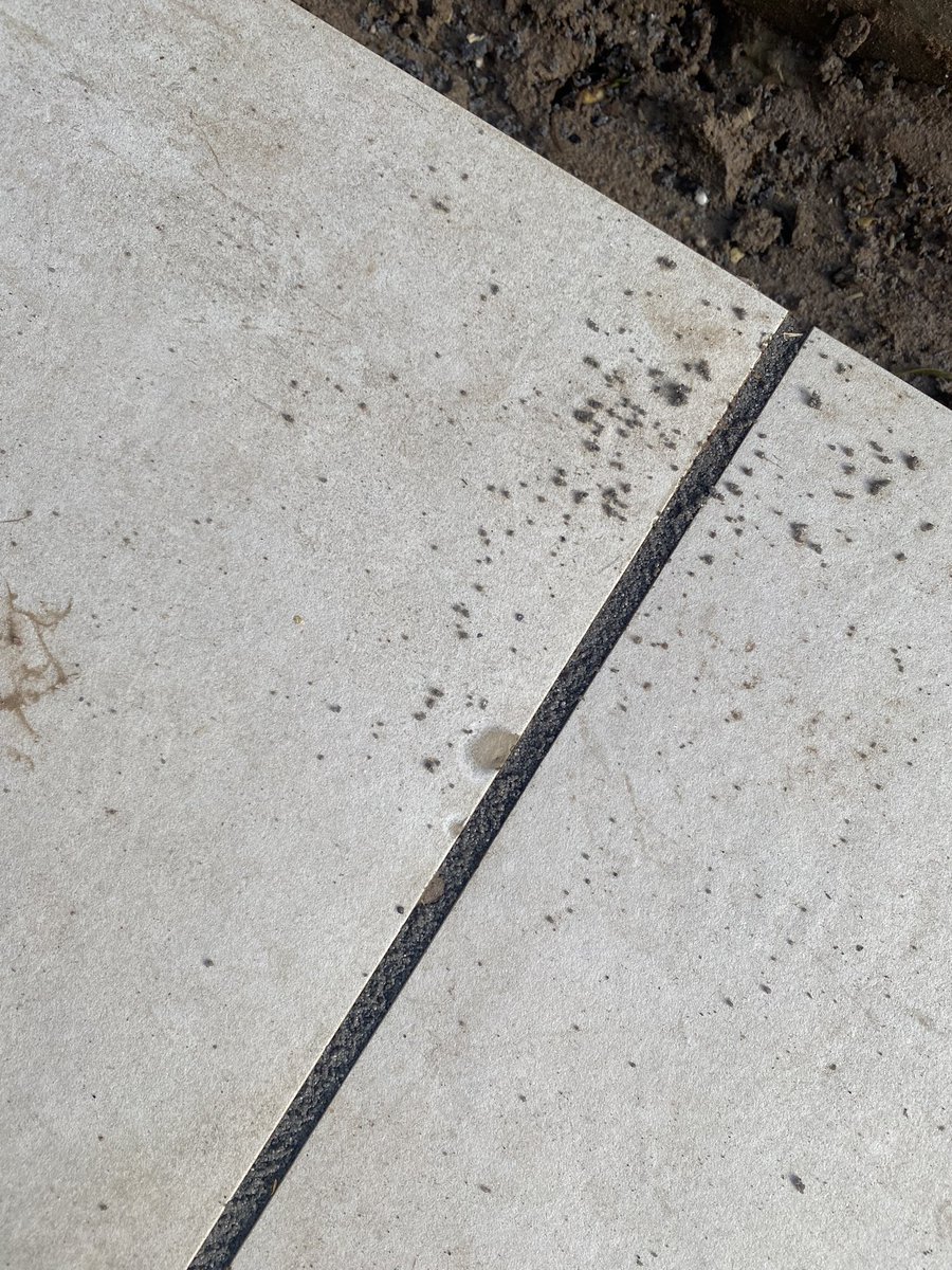 fiestyscot1's tweet photo. @TravisPerkinsCo really disappointed with the service I’ve received from TP. Over 20slabs have been chipped and fitted by the landscaper becuase the store was unable to provide replacements. They were very unhelpful and am new slabs are a mess. #avoid #landscaping #dontbuy https://t.co/24JzMxswKa