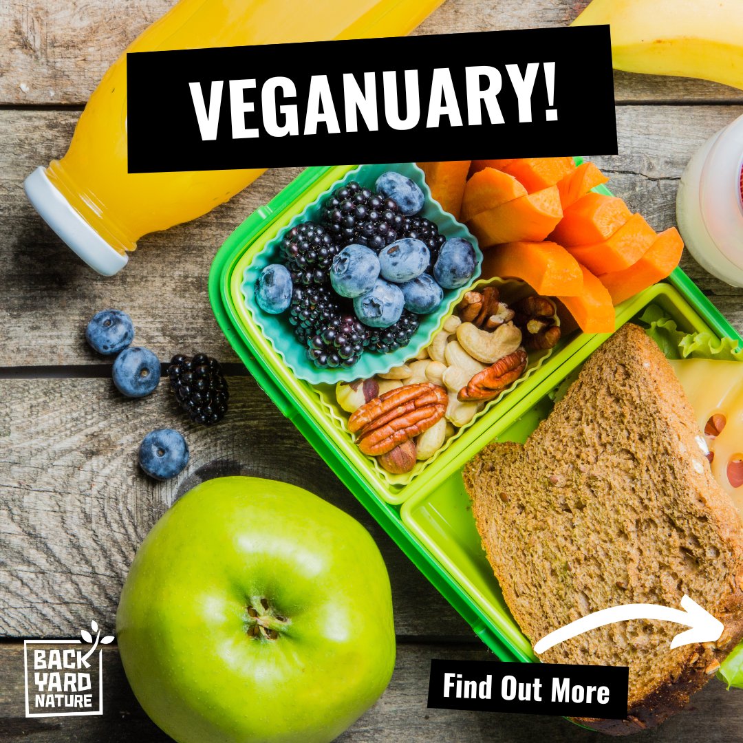 Backyard Nature tweet media