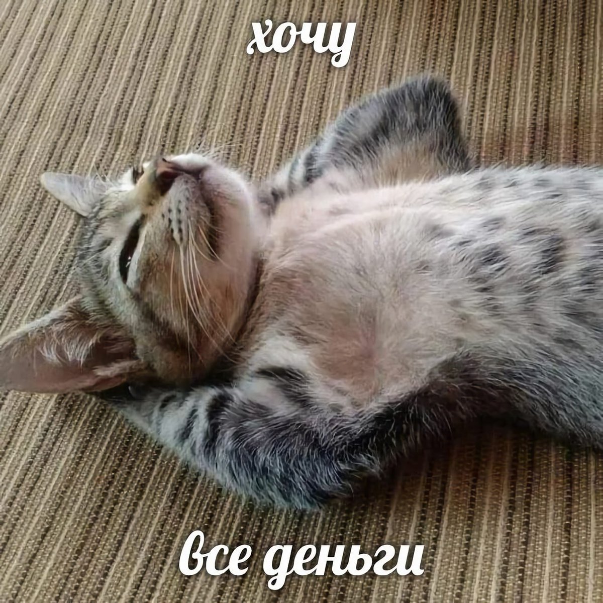 I want 

all the money