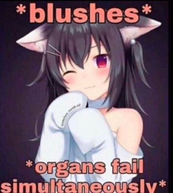 b0negrave's tweet photo. @zoesbakess @roll3rbrawl I was fr trying to guess every one https://t.co/voyNZ7Xwop