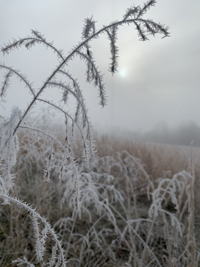 Bud Monster (@budmonster640) on Twitter photo 