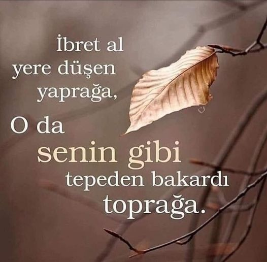 Asilkoc34's tweet photo. #ZamGeldi .#Hatay .#Kent .#Lincoln .#2024EmeklininSefaletYılı .#pavyon .#Dilber. https://t.co/fmmvtR0laL