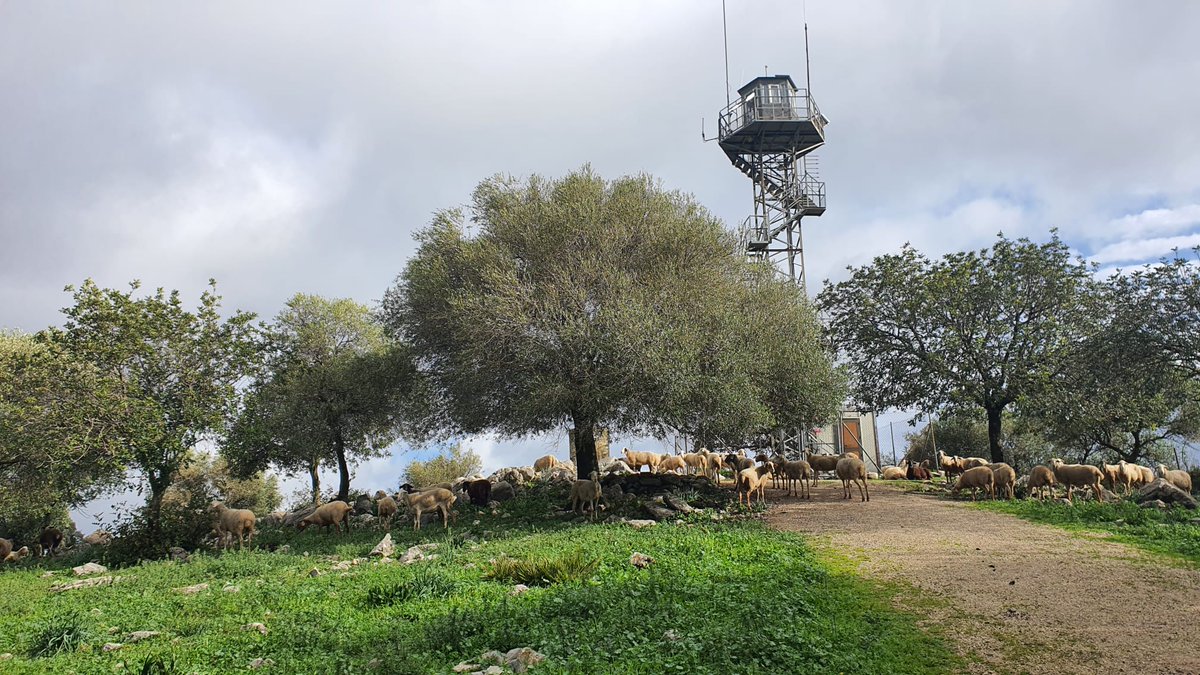 EMA INFOCA tweet media