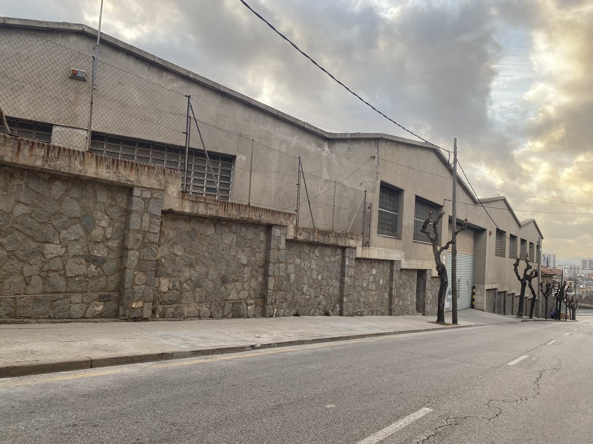 volemrubiverd's tweet photo. Ja no ens queden paraules…ni arbres…i a sobre hem veure com els nostres polítics (@AjRubi i opisició) no diuen ni pio…però parlen i es barallen en els plens de temes que són ni de ciutat…😤🤬🥺 https://t.co/MmKkb0Iatx