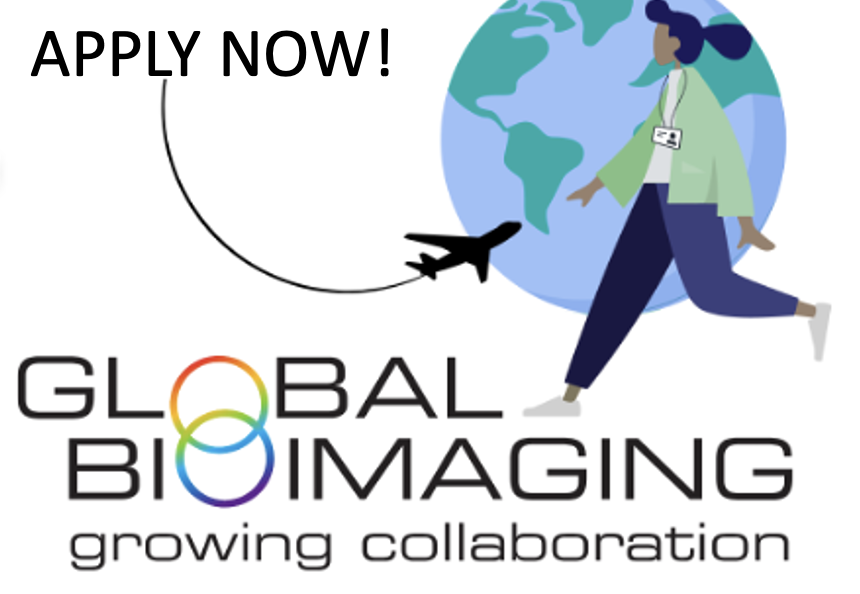 Exciting news! Travel grants are now available for #GBI_EoE2024 in Okazaki, Japan! Dive into discussions on Image Data Horizons and be part of shaping the future of image data accessibility and analysis tools. Secure your spot now by applying! 🌟 (HERE: globalbioimaging.org/international-…)