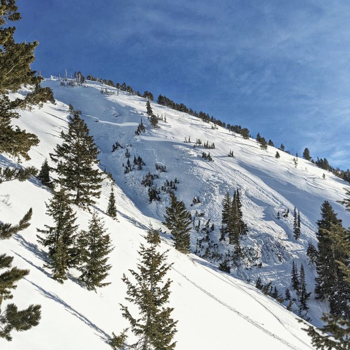 utavy_'s tweet image. 1/30/24 - Photos (Powderbird and S. Donovan) of hard slab avalanches failing on a PWL of facets from Sunday and Monday.  While increasingly difficult to trigger, finding a thin weak spot on the slope will shatter the entire slope.