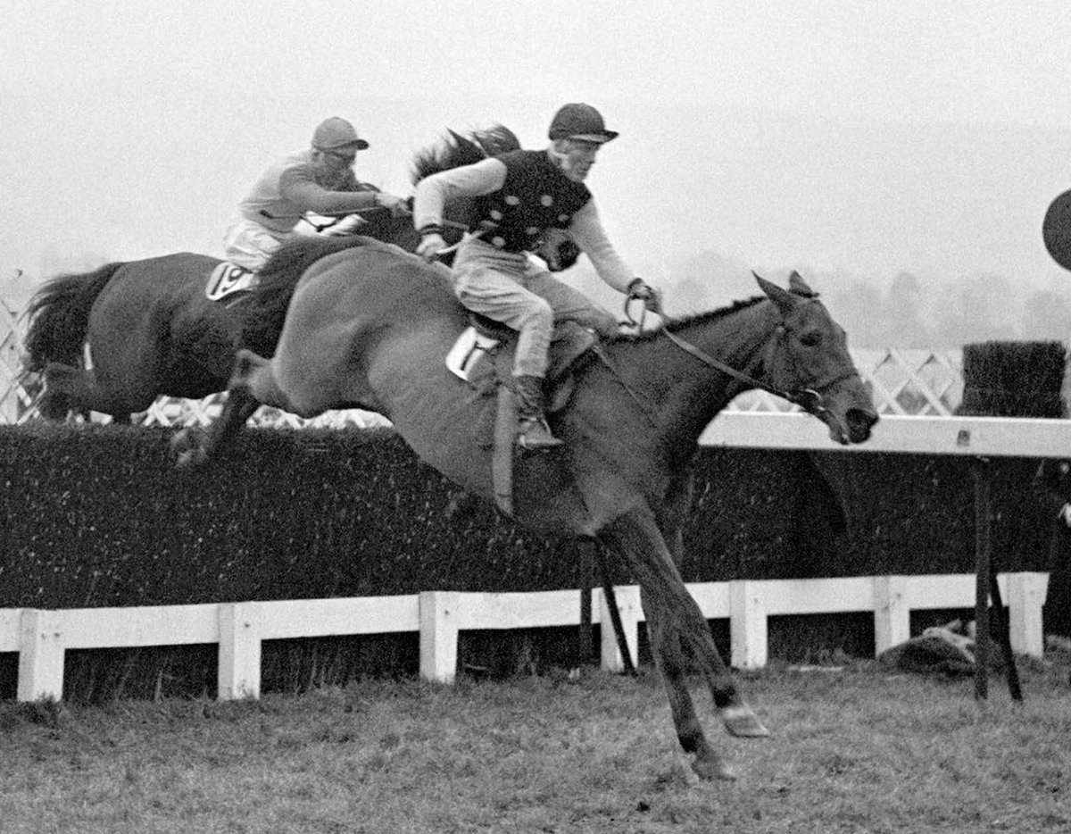 We are again delving back into the archives to bring you the Cheltenham stories of owners of yesteryear. Today we look at the third Baron Grimthorpe – Grandfather to the current Lord Grimthorpe and his cousin, trainer Ralph Beckett – who owned Fortina: bit.ly/Chel24grimthor…