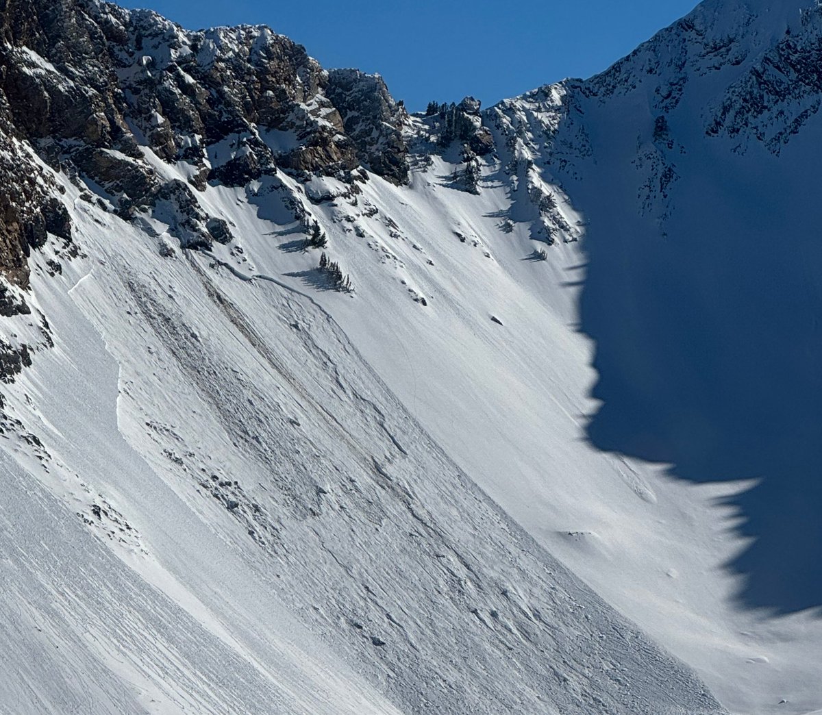 utavy_'s tweet image. 1/30/24 - Photos (Powderbird and S. Donovan) of hard slab avalanches failing on a PWL of facets from Sunday and Monday.  While increasingly difficult to trigger, finding a thin weak spot on the slope will shatter the entire slope.