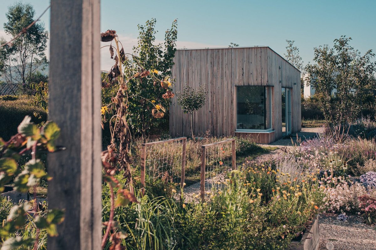 Peter Fabor tweet media