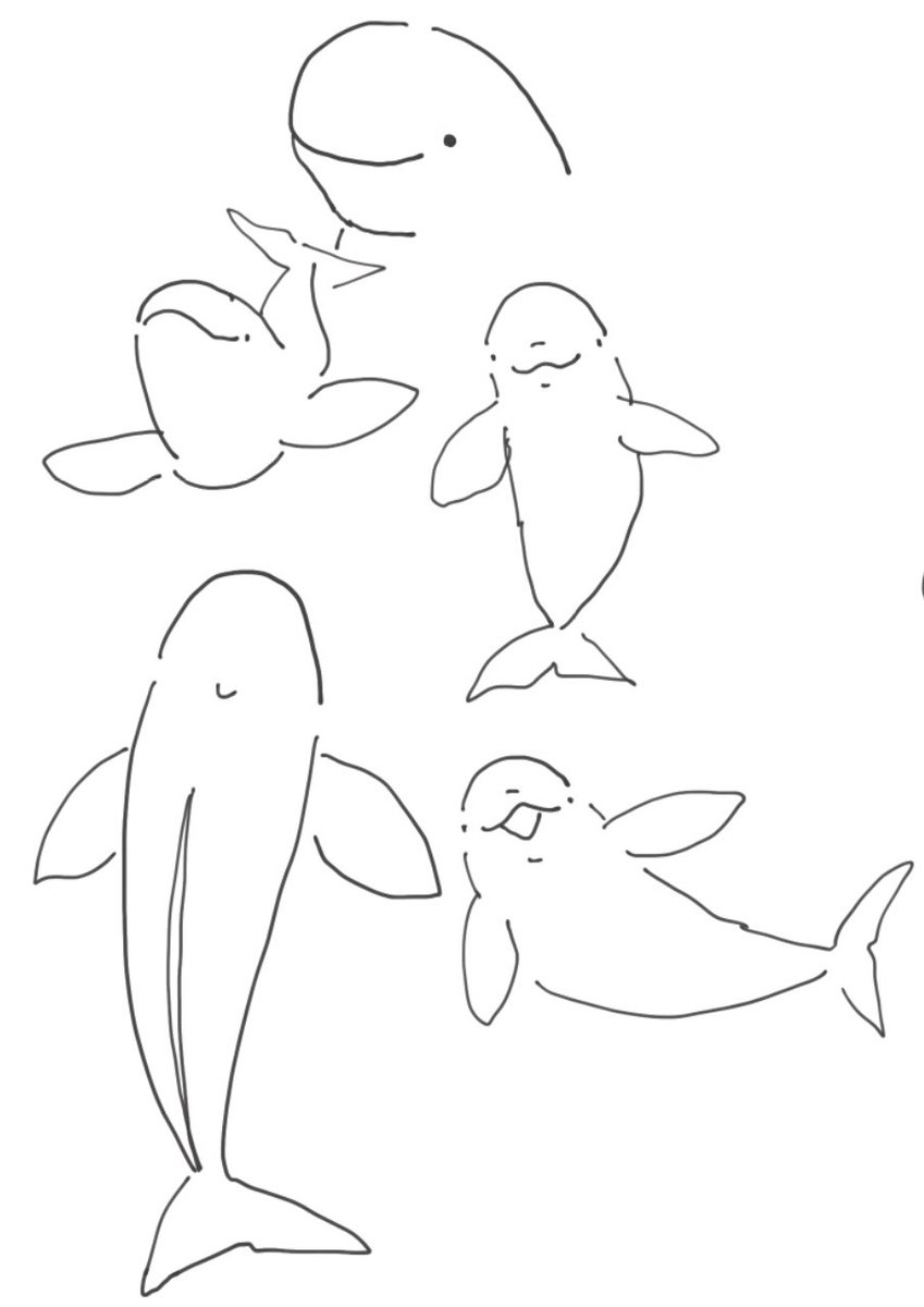 スナメリ、見れば見るほど魅力的な生き物🐬 