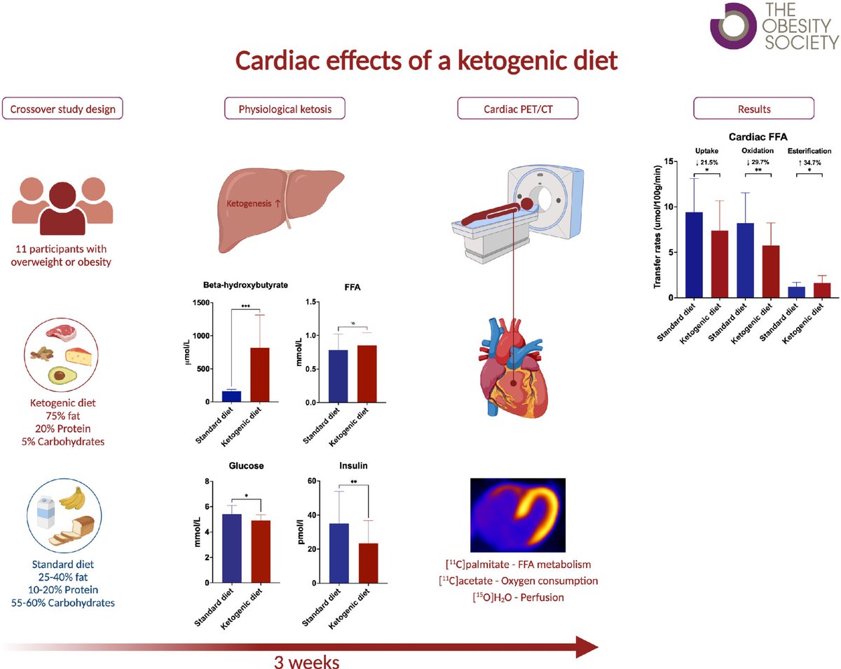 doctorinigo's tweet photo. This study shows that a ketogenic diet decreased myocardial fatty acid uptake oxidation. 

I have always tried to educate athletes on the concept that ketogenic diet and ketones are the poorest of all fuels for humans. In a way, from an evolutionary perspective, it’s the last resource and the “survival” diet when nothing else is available…

In my humble opinion it is important for athletes to be educated and acquire concepts so they can learn about diets that can jeopardize their performance.