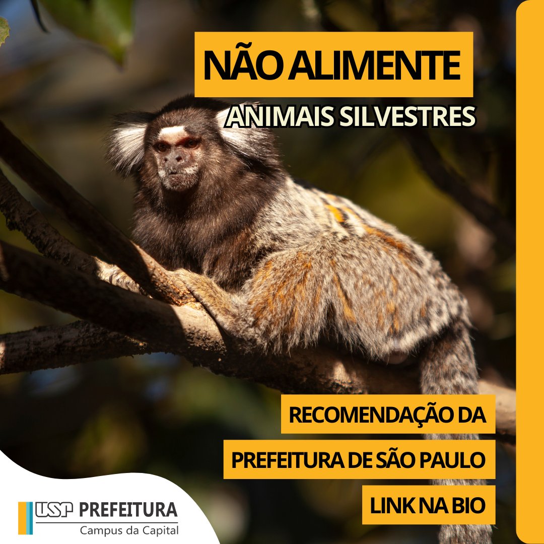 puspcapital's tweet photo. Lei Federal 9.605/98
Fique atento e denuncie abandono de animais tanto no Campus quanto em qualquer outro lugar do Brasil! Link para denúncia: https://t.co/N0ce8MOitY
#puspc #usp #campusbutanta #petsnocampus #abadonodeanimais #campanha https://t.co/UZXvrFMLg0