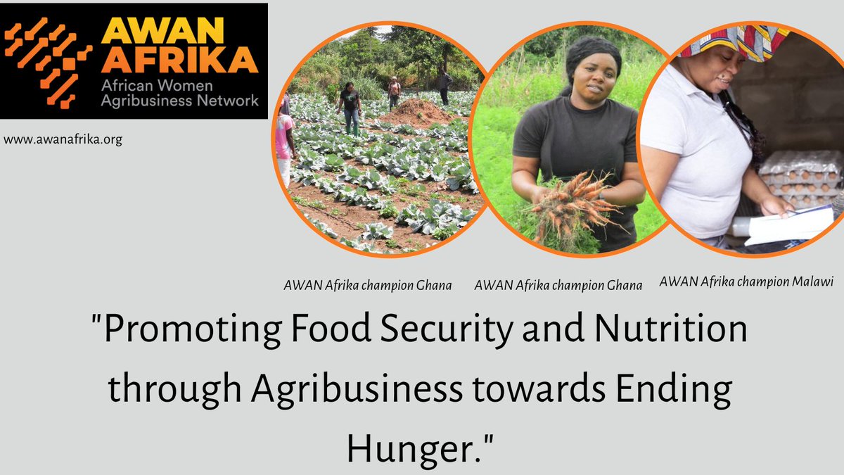 Awan_Afrika's tweet photo. This is our goal ! Join our network to make a difference. 
https://t.co/VGN4KVr81a 
 #FAOAfrica #NCTTCA #GAIN #CAREUSA #AUDARBE #AfCFTA #WomeninAg #YouthinAg https://t.co/EdqVaGebYG
